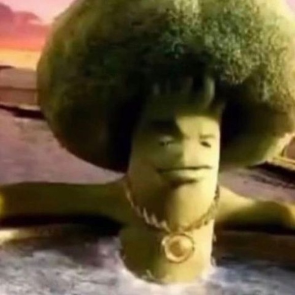 Meet your Posher, Ryan - Picture 1 of 1